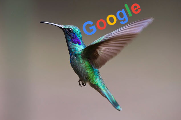 Google Hummingbird là gì? Và tại sao nó là một trong những đột phá SEO quan trọng nhất