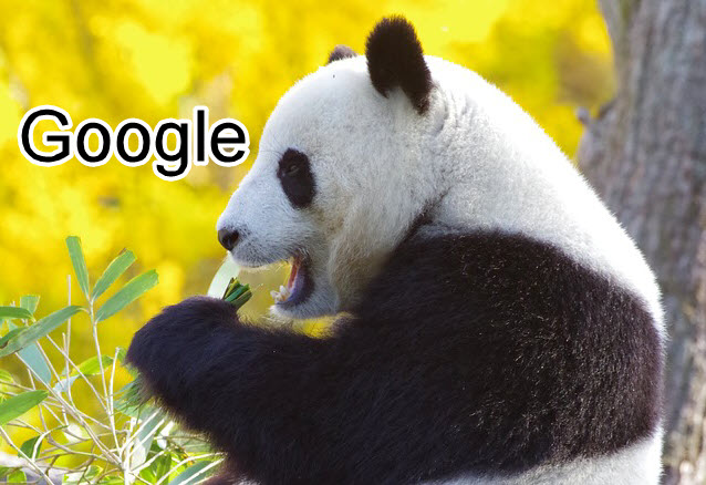 Google Panda là gì? Thuật toán này giúp cải thiện chất lượng tìm kiếm như thế nào?
