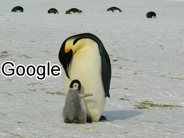 Google Penguin là gì? Và nó ảnh hưởng thế nào đến kết quả tìm kiếm?
