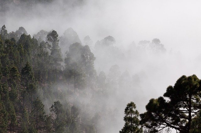 núi rừng trong sương
