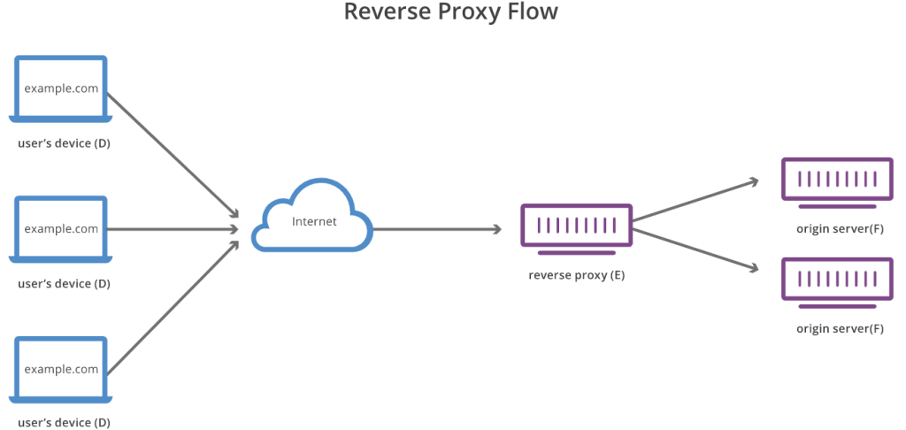 proxy ngược hay reverse proxy