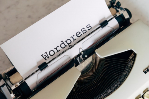 Tăng tốc WordPress phải bắt đầu từ gốc chứ không phải ngọn